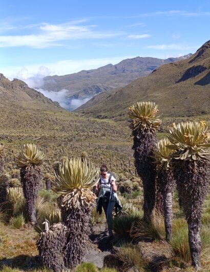 trekking Parque Nevados